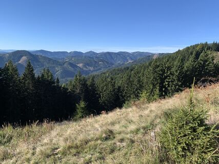 Foto von Eva :) entlang der Tour