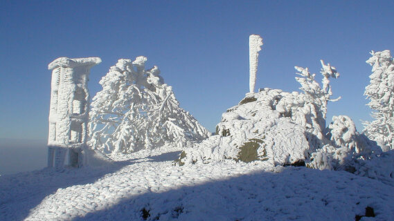 Wunderschöne Winterlandschaft