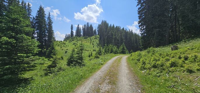 Photo de Michael Ganswind le long du parcours