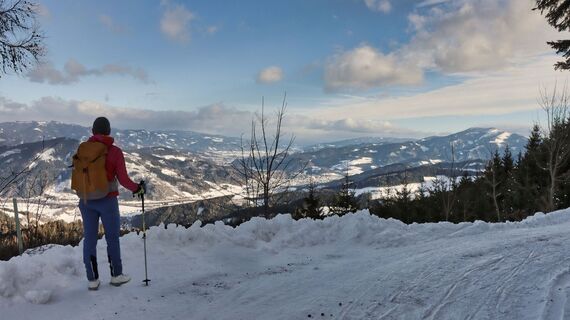 Blick auf Bruck und rechts im Bild das Rennfeld