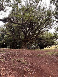 Photo de József Ténai le long du parcours