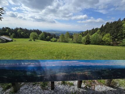 Zdjęcie z Elisabeth Zednik wzdłuż trasy