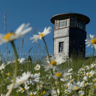 Barigauer Turm