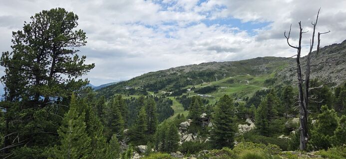 Photo de Alfred Haydn le long du parcours