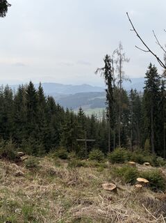 Fotografia z Mandy Friedrich na trase