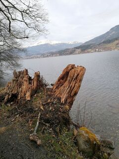 Foto von Dagmar Hofer entlang der Tour