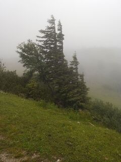 Fotografia z Raphael Riedler na trase