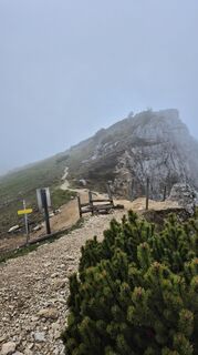 Fotografia z Matthias Werner na trase