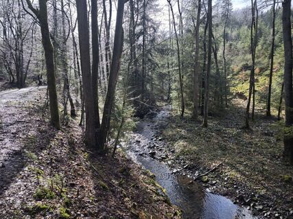 Fotografie z Björn Heun na trase