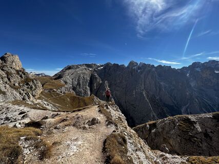 Blick zum Rosengarten