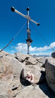 Photo de Upandaway le long du parcours