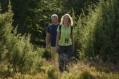 Steinhagen-Wacholderheiden-Teutoburger-Wald-Tourismus-F-Grawe (107).JPG