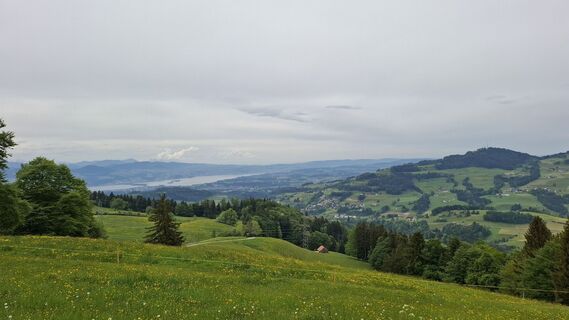 Photo de Sabine Fischer 6 le long du parcours