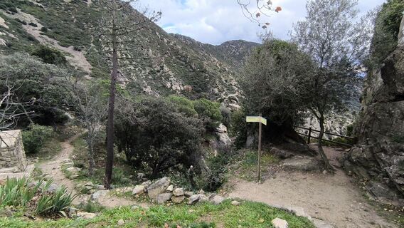 Foto de CPQS a lo largo del recorrido