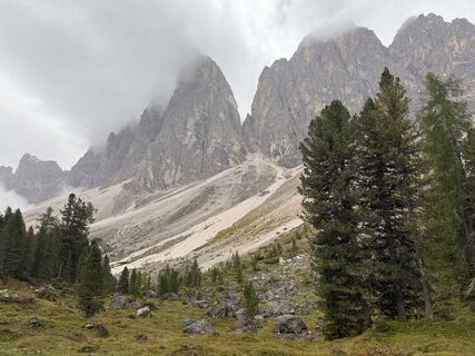 Photo de Frank de Vries le long du parcours