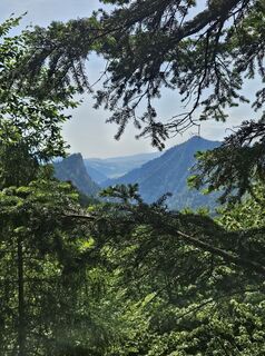 Fotografia z Whitney Dreams na trase