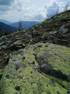 Fotografia z Dagmar Hofer na trase