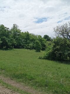 Foto de Julika Jármer a lo largo del recorrido