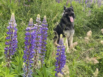 Fotó a Freund der Berge honlapról a túra során