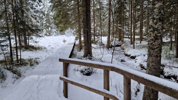 Fotografija s spletne strani Monika Gabler na poti