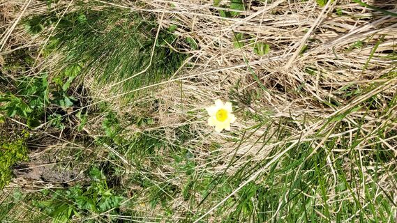 Foto från Sun under resans gång