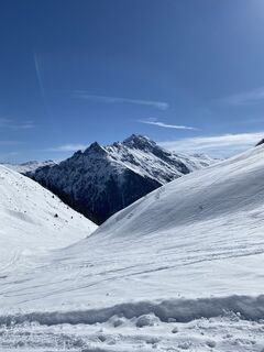 Fotografija s spletne strani Yvonne Pal na poti