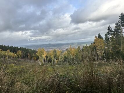 Zdjęcie z Sara B wzdłuż trasy