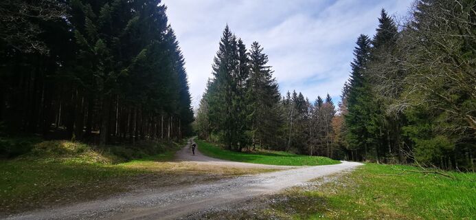 Photo de Klaus Lehner le long du parcours
