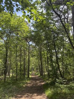 Fotó a RS76 honlapról a túra során