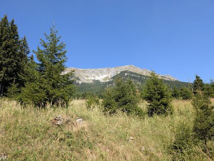 Photo de Franz Dvoran le long du parcours