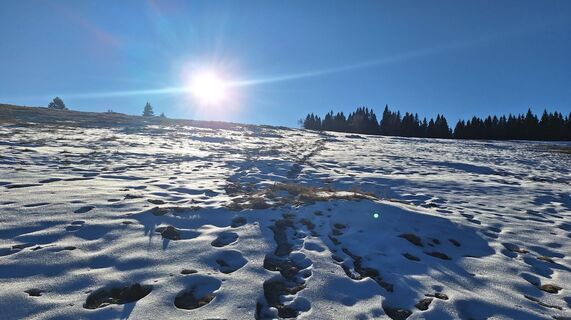 Photo de Regina Fleischmann le long du parcours