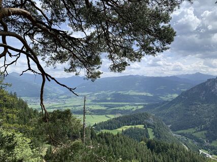 Foto von Diana Kreuter-Schmitt entlang der Tour