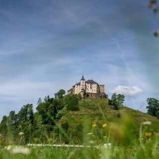 Burg