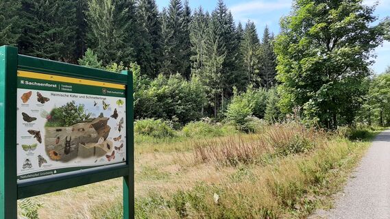 Zinsbachtal mit Lehrtafel