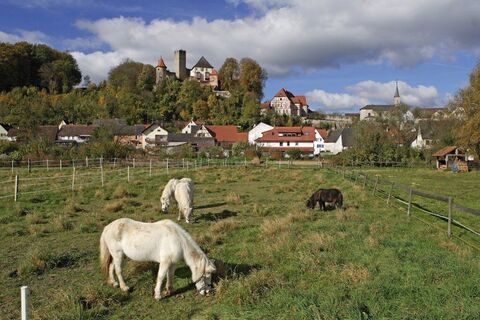 Neidenstein mit Burg