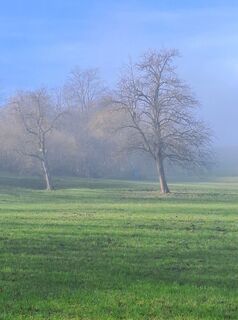 Photo de greinerin le long du parcours