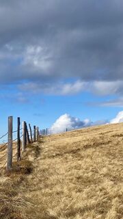 Fotografie z Eveline Zecha na trase
