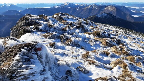 Foto från Aga M under resans gång