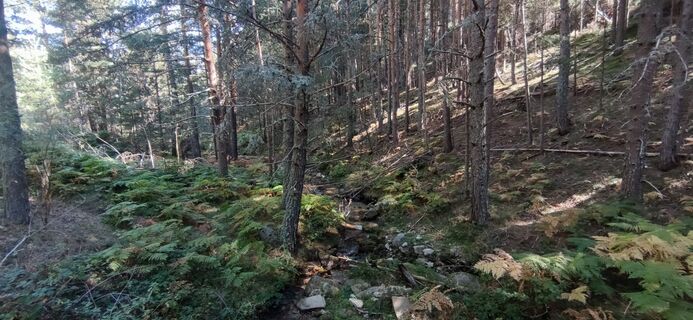 Photo de Car Los le long du parcours