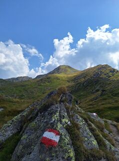 Foto från Dani Rieberer under resans gång