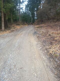Forststrasse gleich nach dem Agathenhof