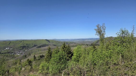 Zdjęcie z Gabriele Wagener wzdłuż trasy