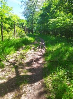 Foto de Márton Thomka a lo largo del recorrido