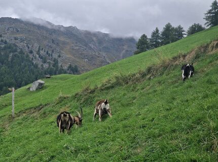 Photo de Mario Eylers le long du parcours