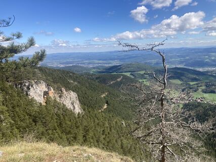 Fotografija s spletne strani Moonytiger na poti
