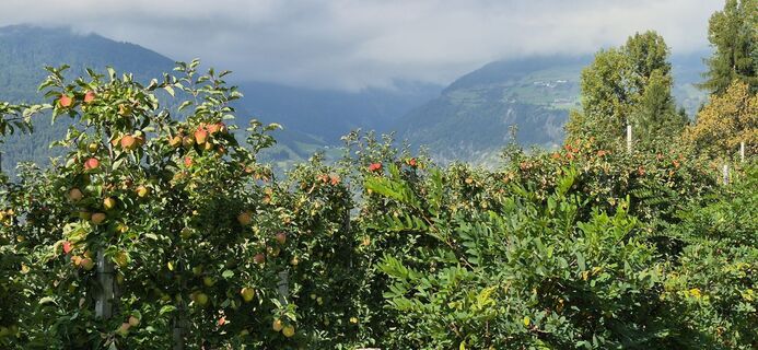 Fotografija s spletne strani Heisi na poti