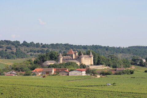 Chateau Rully ret vignobles (2)