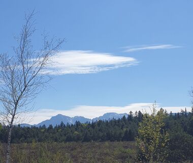 Zdjęcie z Ingeborg Maislinger wzdłuż trasy