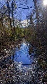 Fotografija s spletne strani Michele Zollia na poti