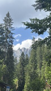 Fotografija s spletne strani Josefine Meves na poti
